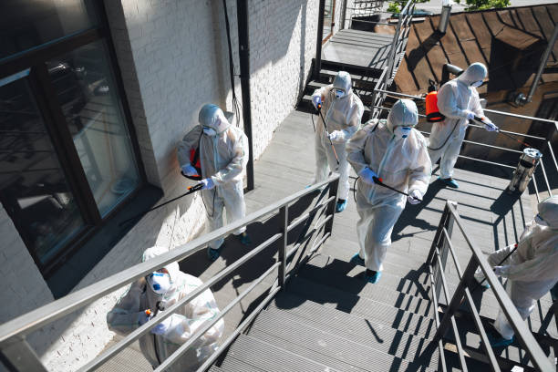 Best Attic Mold Removal  in Atlanta, GA