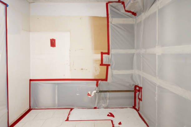 Professional Mold Removal in Atlanta, GA
