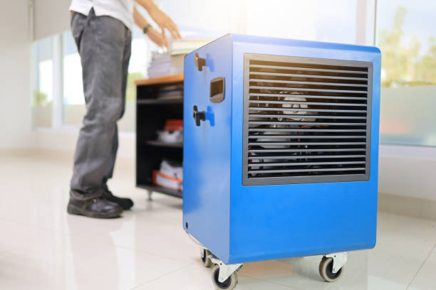 Best Industrial Mold Remediation  in Atlanta, GA