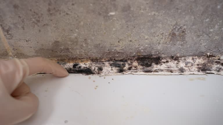 Best Airborne Mold Testing  in Atlanta, GA